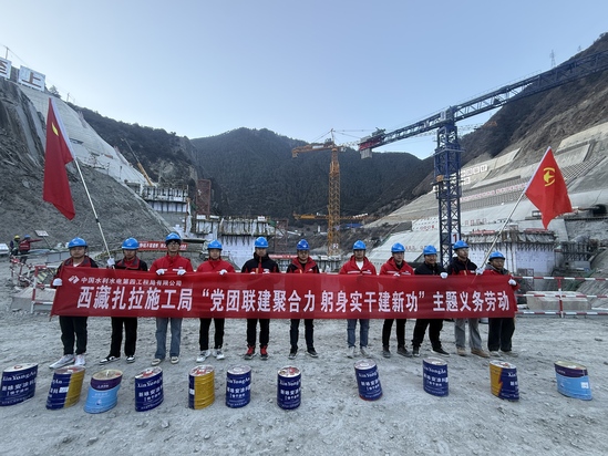 “党团联建聚合力 躬身实干建新功”主题义务劳动.jpg