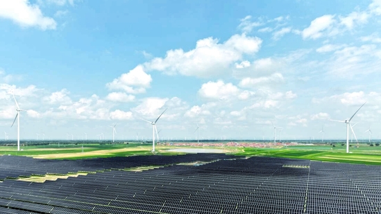 场区照片。张东强 摄.jpeg