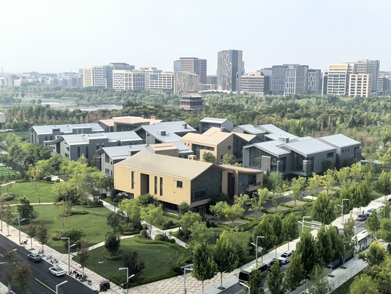 雄安·电建智汇城项目41宗地(拍摄:王晓钰).jpg